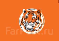 -.   .. Tiger Pizza.   173 