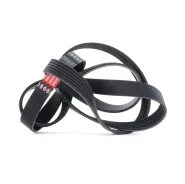 ������ ������������ XF 68420 Gates 6PK1685 6PK1685 ����