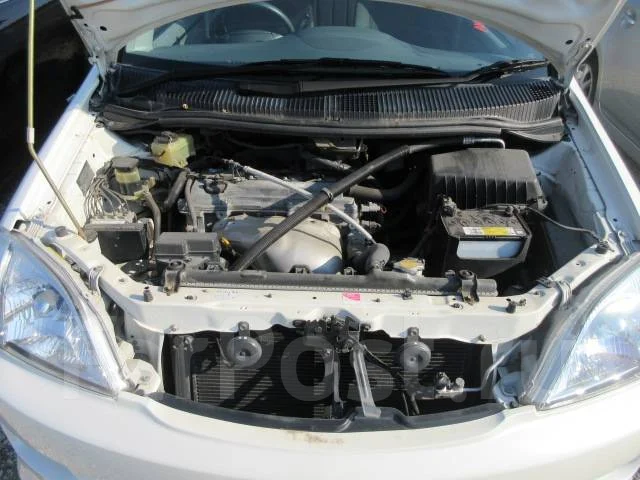 Toyota Nadia. ANC10, 1AZFSE ����