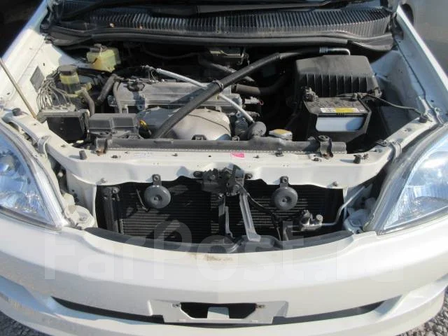 Toyota Nadia. ANC10, 1AZFSE ����