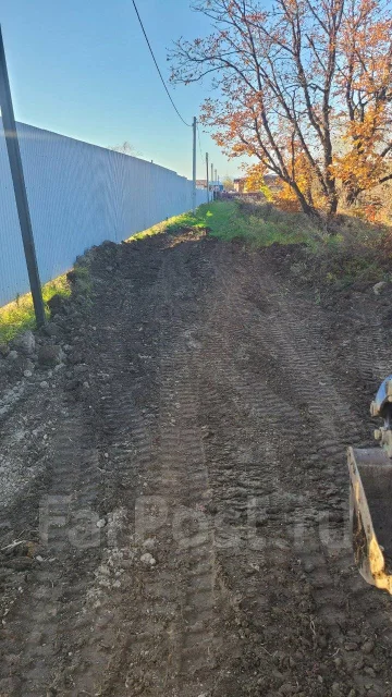 ������ ����������� ����
