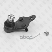 ����� ������� ������ ����� Fixar ���. FK0950L FK0950L ����