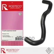 �������� ��������� ������ Rosteco ���. 20952 20952 Rosteco 20952 ����