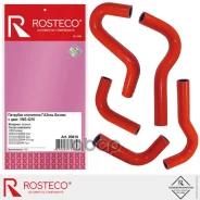 �������� ��������� ������ ������, (��. ��� 4216) (�-� 5��). 3302.8120030/44/44-10 Rosteco Rosteco ���. 20810 20810 ����