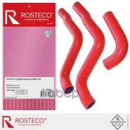 �������� ��������� ��� 2170, (�-� 3��) �������. 2170-1303025/10/93 Rosteco Rosteco ���. 20824 20824 ����