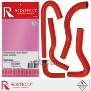 �������� ��������� ������ ������, (��. Cummins) (�-� 5��). 3302.8120042/44/38 Rosteco Rosteco ���. 20887 20887 ����