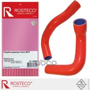 �������� ��������� ������ Next, (�-� 2��) �������. A21R22-1303010/25 Rosteco Rosteco ���. 20806 20806 ����