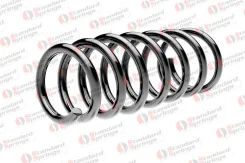 ������� ������� ����� | ����� ����/��� | Standard Springs ST104071F ST104071F ����