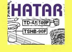 �������� ������������ ����� ������� Febest TDAE100F TDAE100F ����