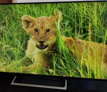 Sony KD-55XE8596 ����