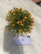 Apple iPhone 11. �/�, 64 ��, ���������� ����