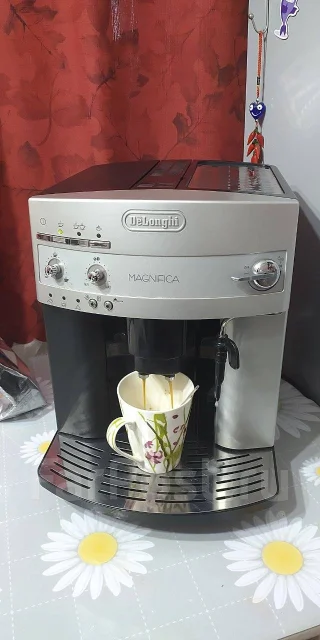 ����������. ����