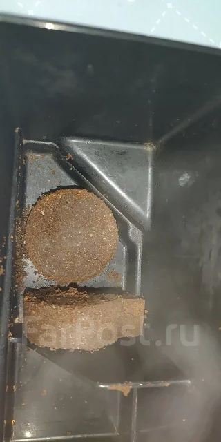 ����������. ����