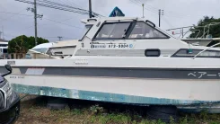 Yamaha FR-25. 1998 ���, ����� 7,5��., ��������� ��� ���������, 200��.�. ��� ����� �� ������������ ����