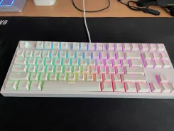 ����������. ����