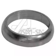 ������ ���������� ���������� 30599 ASAM-SA 30599 30599 ����