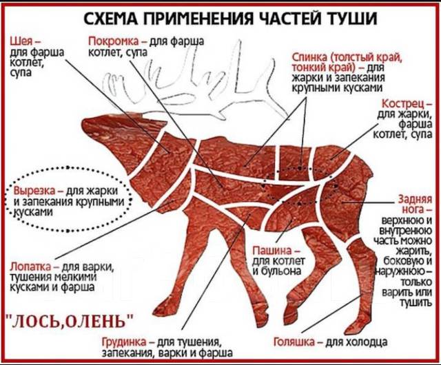 Мясо Оленя (Фермерский), в наличии. Цена: 650₽ во Владивостоке