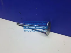 ������ �������� ���� ������� Auger 113808 113808 ����