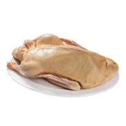 ����. ����