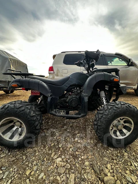 Grizzly. ��������, ��� ���\���, �� ����