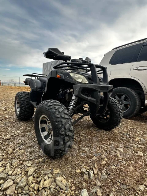 Grizzly. ��������, ��� ���\���, �� ����