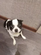 ����� ����