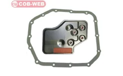 ������ ���� + ��������� ��������� COB-WEB 111920 111920 ����