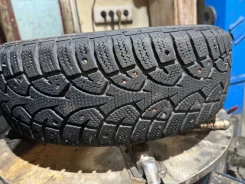 Master. ������, ����������, �/�, ����� 25 % ����