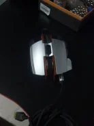 ���� �������. ����