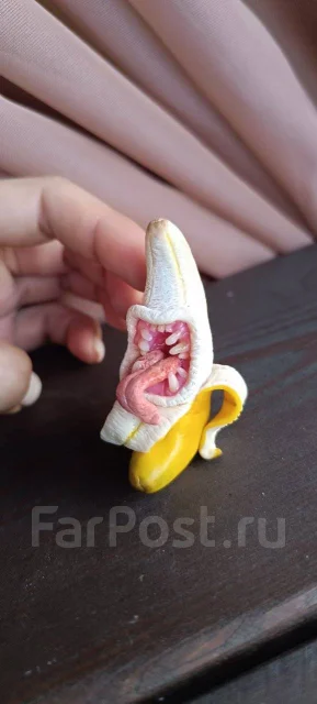 ������� ������ ������ ����