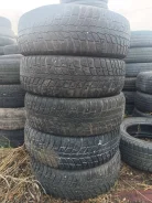 Nordman +. ������, ����������, �/�, ����� 60 % ����