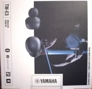 Yamaha TW-E3A ����