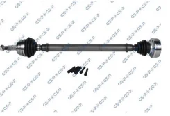��� ���������, ������ GSP 253005 ����