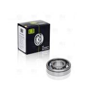  50305 .  .   Trialli CT503 CT503 