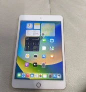 Apple iPad Mini 5. ������ 256 �� ����