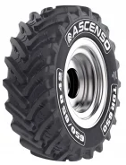 Ascenso TDR 650. ����� mt, �����. ��� ����� �� �������� ����