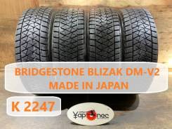 Bridgestone Blizzak DM-V2