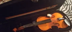�����. ����