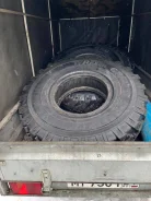TyRex. �����������, 2023 ���, ����� ����