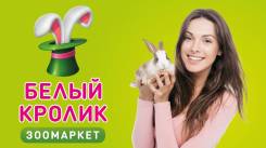 ��������-������. �� ��������� �.�. ����� ����� ����� 8 ����