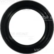 ������� ������������������ ���� Victor Reinz 815323900 815323900 ����