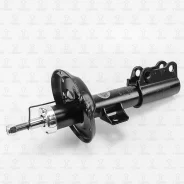 ����������� �������� GAS R TORR DV1725R DV1725R ����