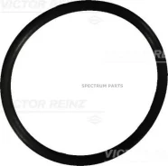 ������ �������������� [39,2X45,2X3] Victor Reinz 407602210 407602210 ����