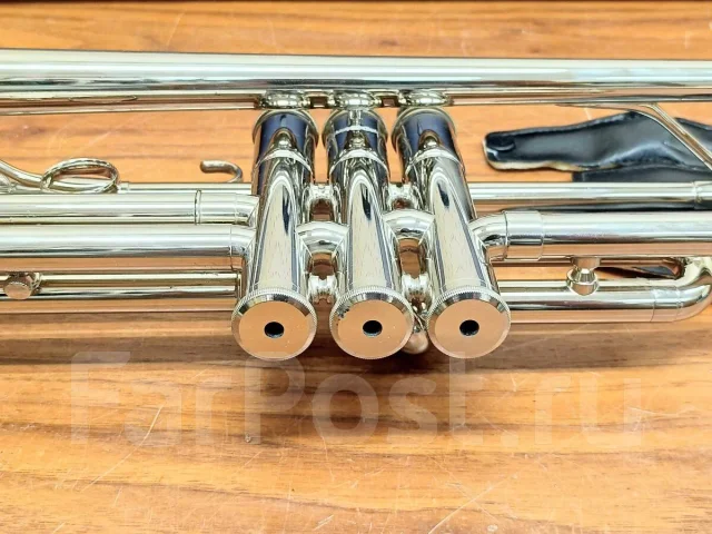 �����. ����