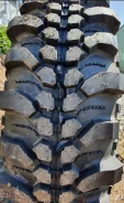 Lakesea Alligator. ����� mt, 2021 ���, ����� ����