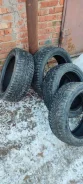 Nordman 7. ������, ����������, 2019 ���, �/�, ����� 5 % ����