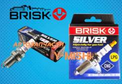   () Brisk Silver DR15YS9 DR15YS9 