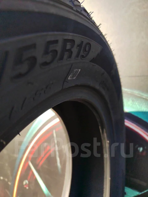 Kingnate. ������, ��� �����, 2024 ���, ����� ����