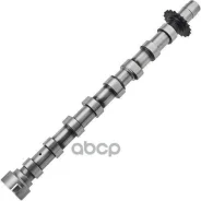 ���������� Zikmar ���. Z18080R Z18080R ����