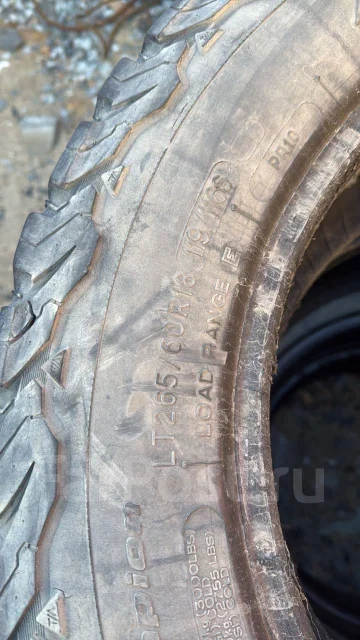 Targum Scorpion. ����� mt, 2015 ���, �/�, ����� 50 % ����